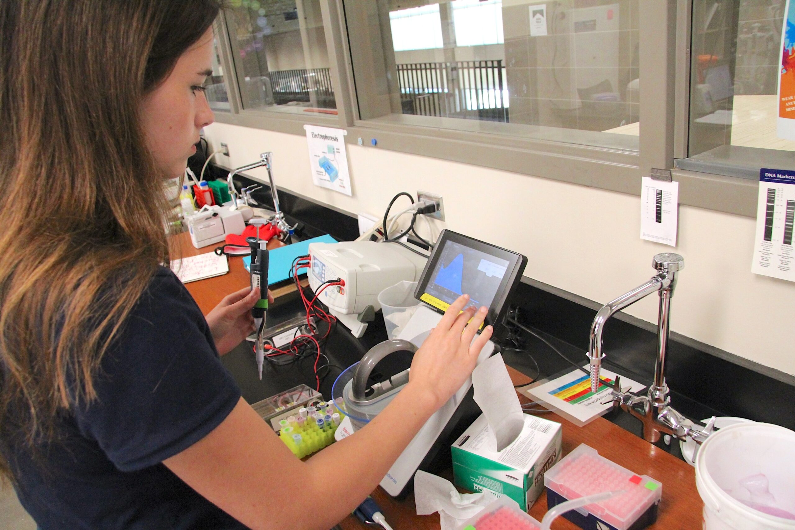 Students conducting Biomedical Sciences laboratory work
